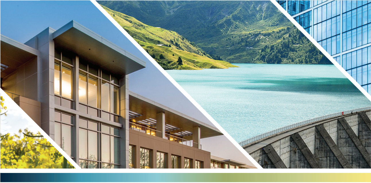 Perspectives 2021 des placements alternatifs privés : la nouvelle normalité?